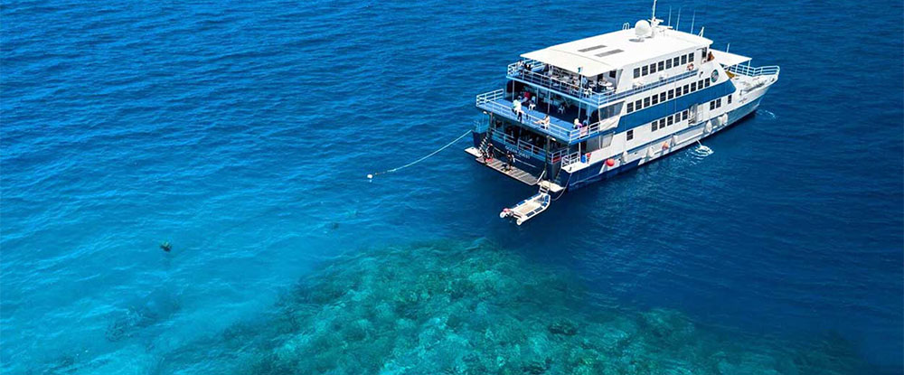 great barrier diving