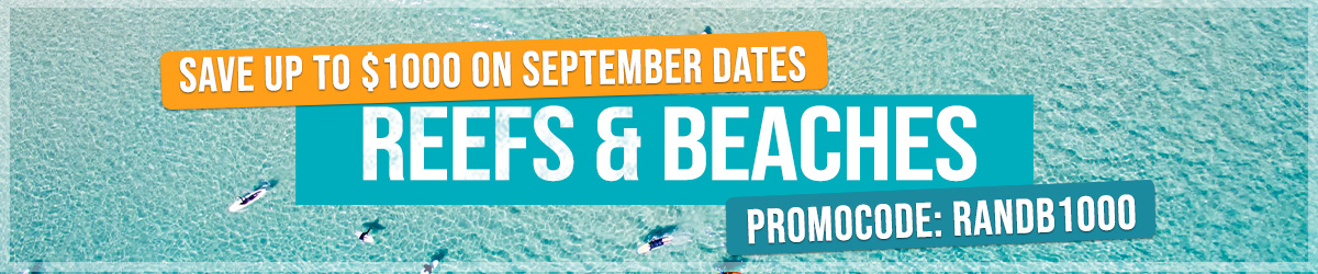 Reefs and Beaches Tour Sale Sep 2024